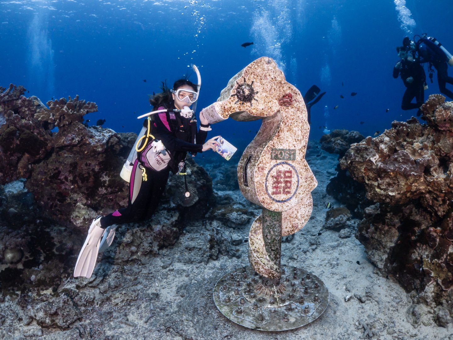 海底體驗潛水活動<span>PADI  Discover Scuba Diving</span>