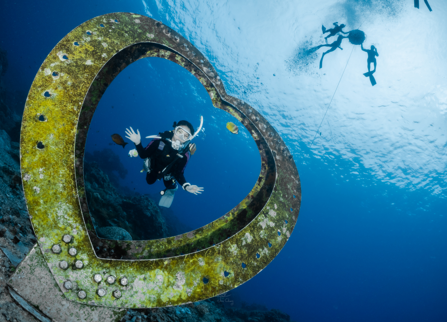 海底體驗潛水活動<span>PADI  Discover Scuba Diving</span> 3
